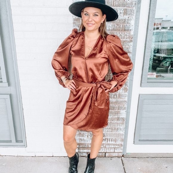 Bronze Long Sleeve Dress - Picture 6 of 8